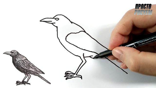 Как нарисовать ВОРОНА смотреть онлайн