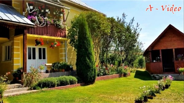 ?Жизнь за городом Примеры благоустройства участка / Examples of garden improvement / A - Video