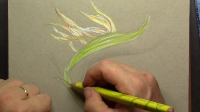 Easy Flower for beginners Koh-I-Noor Magic FX Pencils смотреть онлайн