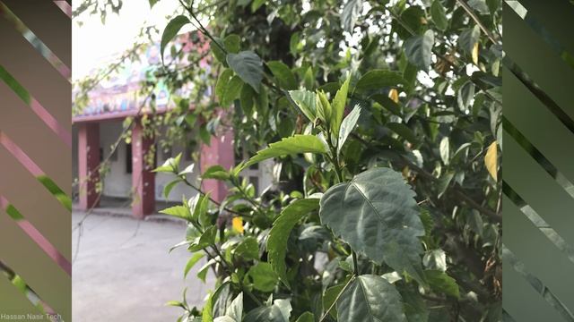 iPhone 7 Plus : Camera & Video Test [4K] | Full Review смотреть онлайн