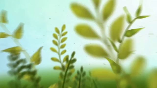 Гибель птицы I Падение спроса I Итоги 2022 года смотреть онлайн