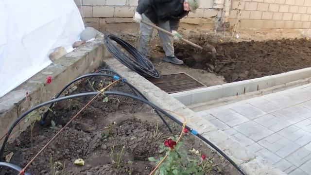 Каркас для роз на зиму, самое простое, дешёвое, быстрое и многоразовое смотреть онлайн