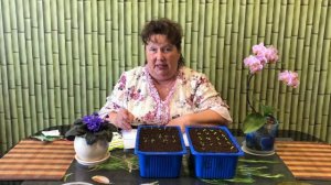 Когда сеять капусту на рассаду. Сорта и названия капусты. Рассада цветов. 15 примет от мамы Татьяны