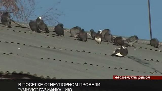 В поселок Огнеупорный провели газ смотреть онлайн