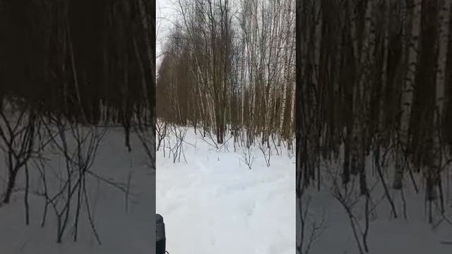 Встреча с лосем! Езда на мотоблоке с гусянками Крутец смотреть онлайн