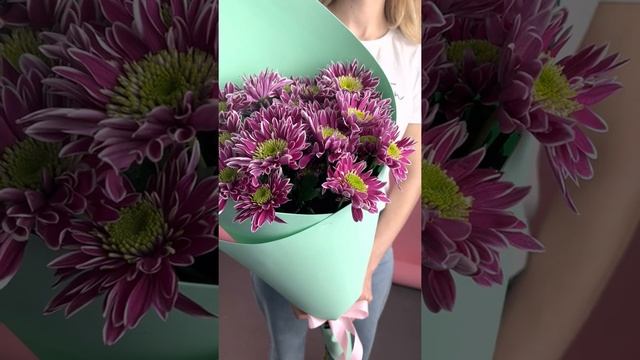 Доставка цветов, букет «Хризантема фиолетовые (5 шт.)» в Нижнем Новгороде. смотреть онлайн
