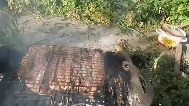 Мангал Конь жарка шашлыка (3) смотреть онлайн