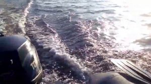 тохатсу 3.5 4 тактный и норвик 290