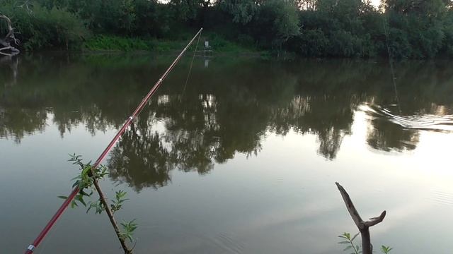 Утренняя рыбалка, клёв лещиков. смотреть онлайн