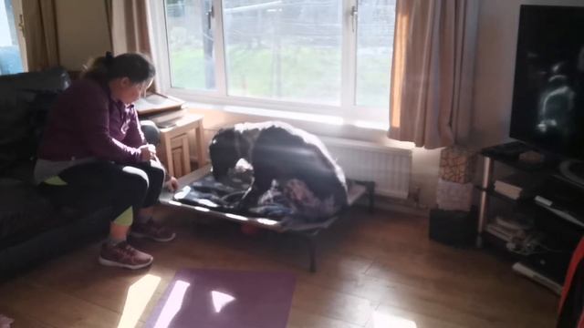 Boundary Games Session 4 Mazy смотреть онлайн