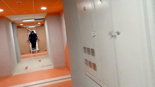 Питер Аренда в отеле Дешевле Старт смотреть онлайн