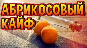 ШИКАРНЫЙ АБРИКОСОВЫЙ БРЕНДИ #мужскоехобби #самогон #бренди