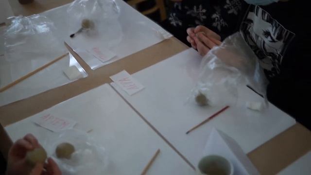 Видеожурнал «У нас в Михайловском и его окрестностях». Выпуск №41 смотреть онлайн