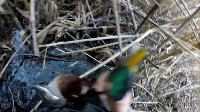 Охота на утку на раскатах смотреть онлайн