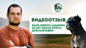Кане-корсо. Видеоотзыв. 10 лет после курса дрессировки. КЦ «Барс»