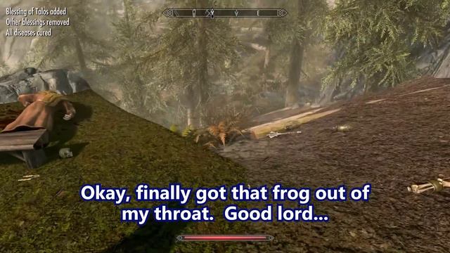 Skyrim - Finding Faendal