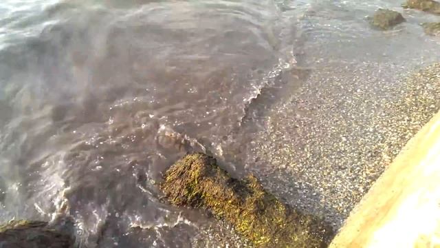 Крымское говно смотреть онлайн