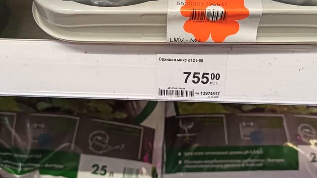 Свежие орхидеи в Леруа Мерлен Барнаул смотреть онлайн