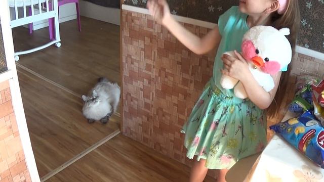 Празднуем Алисочкин День рождения ! смотреть онлайн