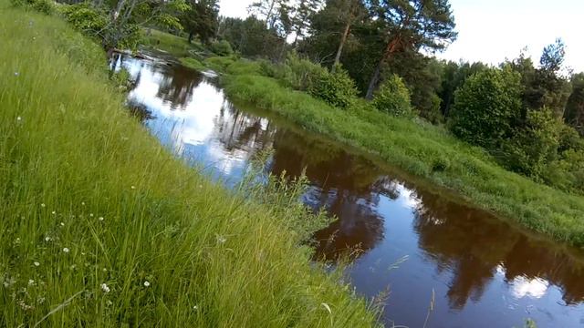 Дорога Воскресенье - узкоколейка по полю вдоль Шередаря смотреть онлайн