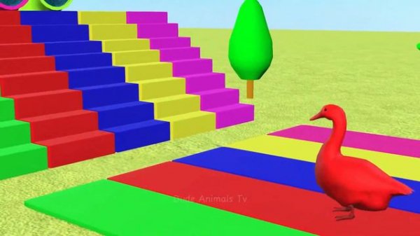Long Slide Game With Elephant Gorilla Buffalo Hippopotamus Tiger - Funny 3d Animals Ep190
