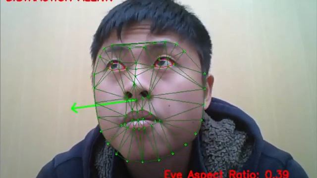Pose & Drowsiness Detection with OpenCV & DLib (Human Activity Tracking) смотреть онлайн