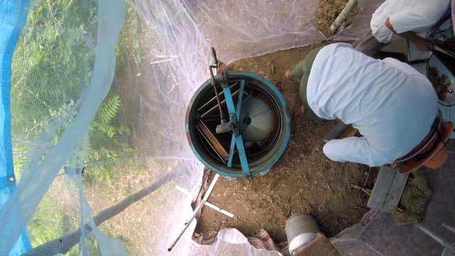 КАК ДЕЛАЮТ МЁД , Пасека в окрестностях Фроловки , Приморский край смотреть онлайн