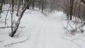 Квадроцикл Cf moto 400L зимняя солопокатушка и немного поговорить!