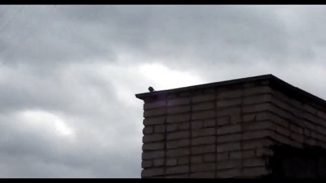 Алексей Кабанов/Alex Kabanov (DEMO) смотреть онлайн