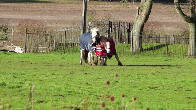 "ВАНИЛЬНАЯ СЕМЬЯ" И "МАМА ОТЛИЧНИКА" ОБЗОР ВЛОГОВ смотреть онлайн