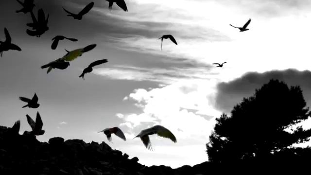 Rip Van Winkle----T e perdi.flv смотреть онлайн