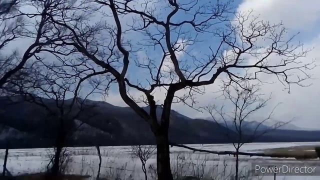 Амурский бархат зимой 25.02.2021. смотреть онлайн