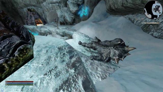 The Elder Scrolls V  Skyrim Special Edition Chaurus Queen Boss Fight