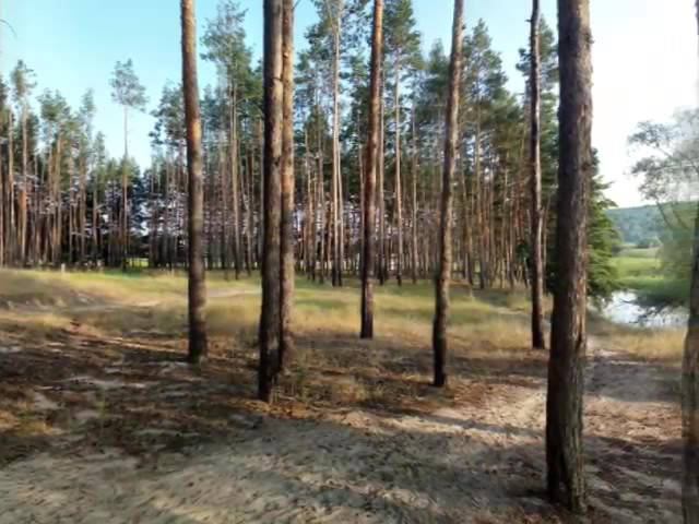 160731 181027 смотреть онлайн