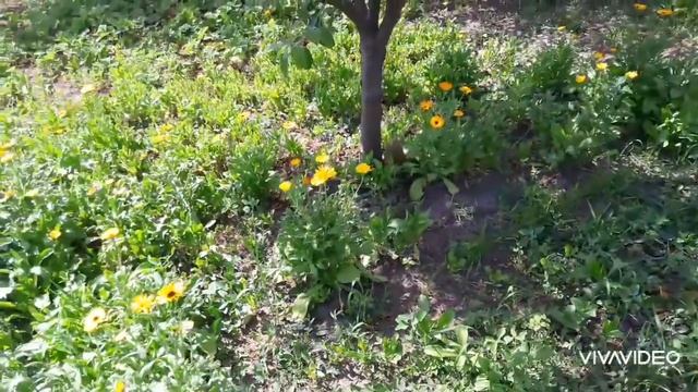 С мужиками весело всегда! смотреть онлайн