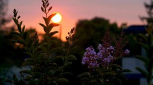 💖Притяни любовь БЫСТРО! Сильная МОЛИТВА на привлечение любви! Молитва на любовь!💖