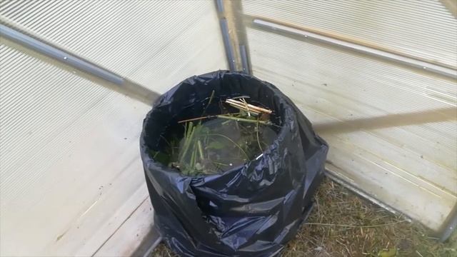 Бочка для бродилки. Что у меня в теплице? смотреть онлайн