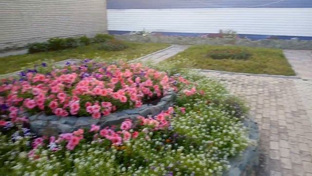 Лавочка любви и примирения. Чановский район. Чаны. 24.07.2020