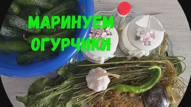 МАРИНУЕМ ОГУРЧИКИ