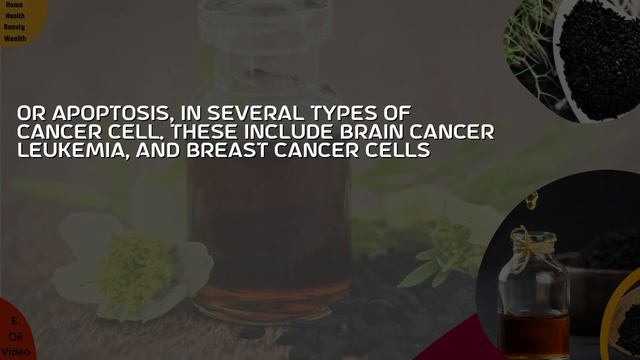 Black Seed Essential Oil: Uses & Side Effects | Black Seed Oil Health Benefits You Should Know