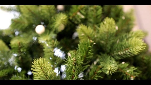 В ГОСТЯХ VS ДОМА 3// БЕРТ смотреть онлайн