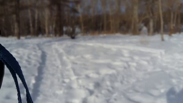 Из серии Покатушки, всем врагам назло.. смотреть онлайн
