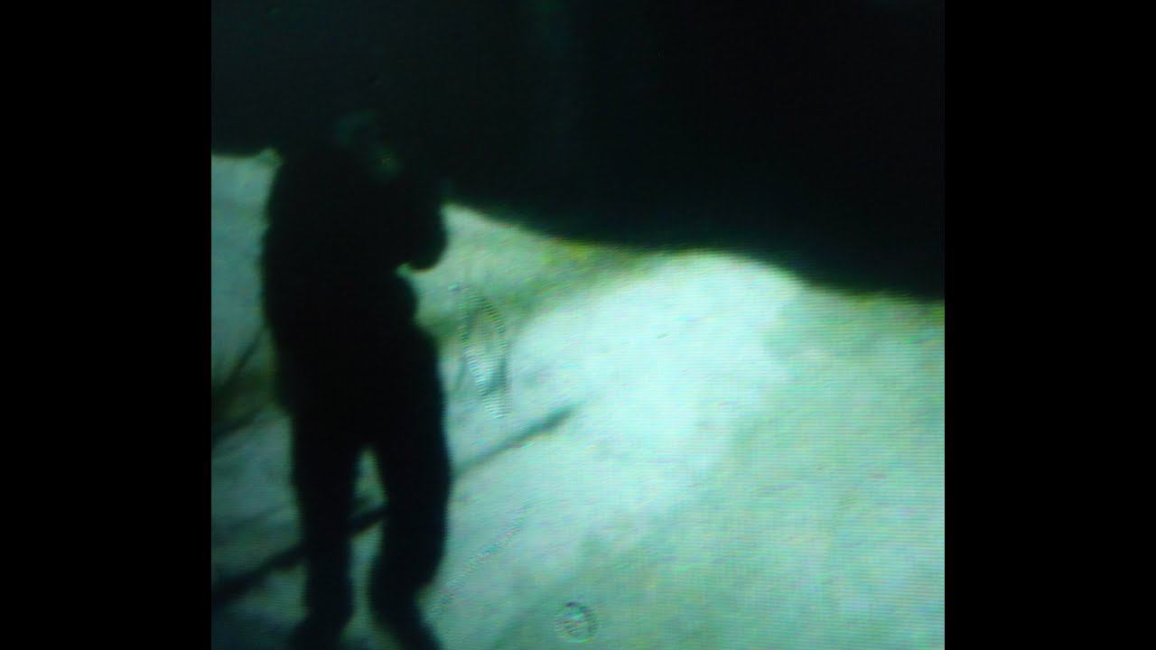 Стоп- фильм Подорожный УЖАС смотреть онлайн