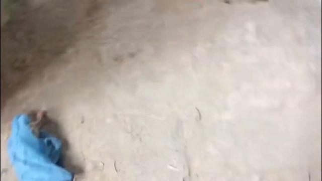 Лестница в загородном доме. Зеркальное дно, с повтором. смотреть онлайн