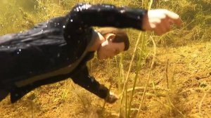 Приключения Американцев в России , СЕЗОН 2 ... Серия №5 (За грибами)