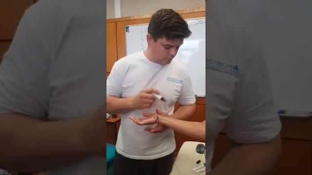 Анатомия канала Гийона. смотреть онлайн