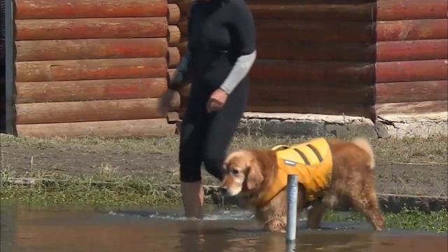 ДЕНЬ БЕЗОПАСНОСТИ НА ВОДЕ смотреть онлайн