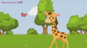Песенка для детей про животных/шуточная/0+