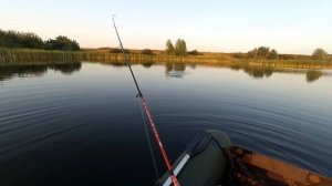 Рыбалка на щуку на поппер хорватское яйцо