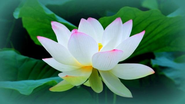 Храм вашей Души - Божественное Я человека. Практика.